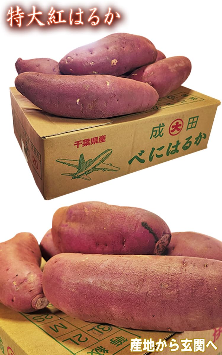 Amazon.co.jp: 紅はるか 10kg 特大さつまいも 物価高応援 【産地証明